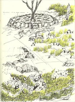 dsfsdfsdfsdf-e1463475419964