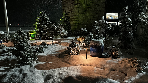low voltage landscape lighting on a snow covered walkway