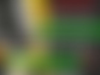 NEW: Old West Baltimore Presentation