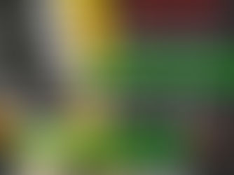 NEW: Old West Baltimore Presentation