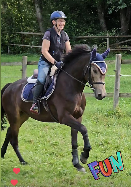 Rocky Galopp Weide.jpg