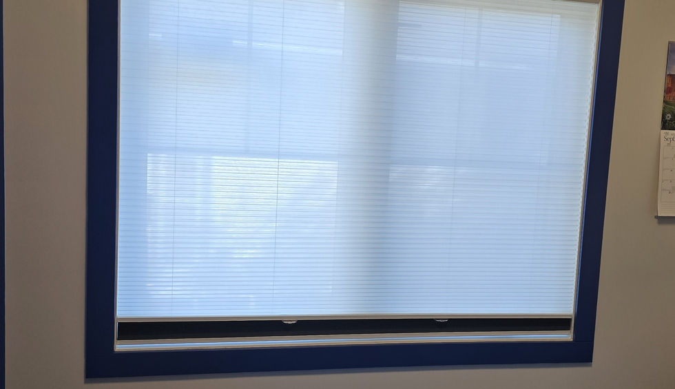 Light-filtering plus blackout honeycomb cellulars in light-filtering mode on bedroom window