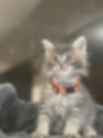 Thumbnail: Mary
