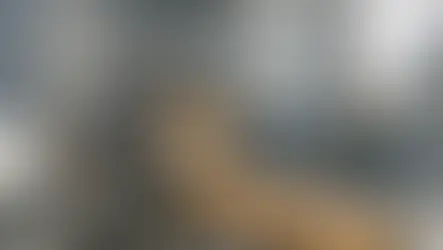 Wynajem automatycznej maszyny pakującej