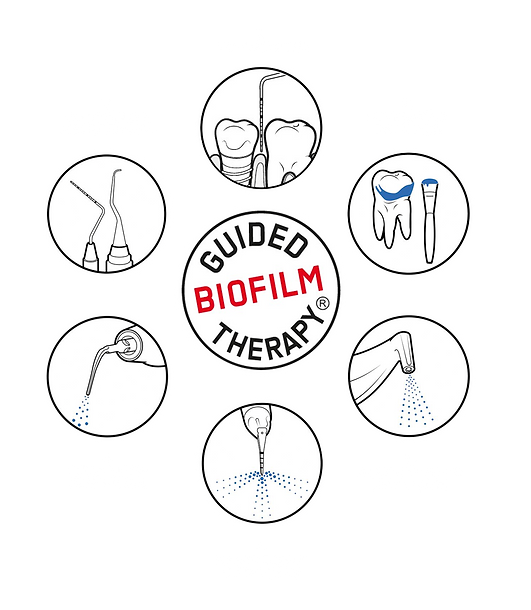 GBT-CICLO.png
