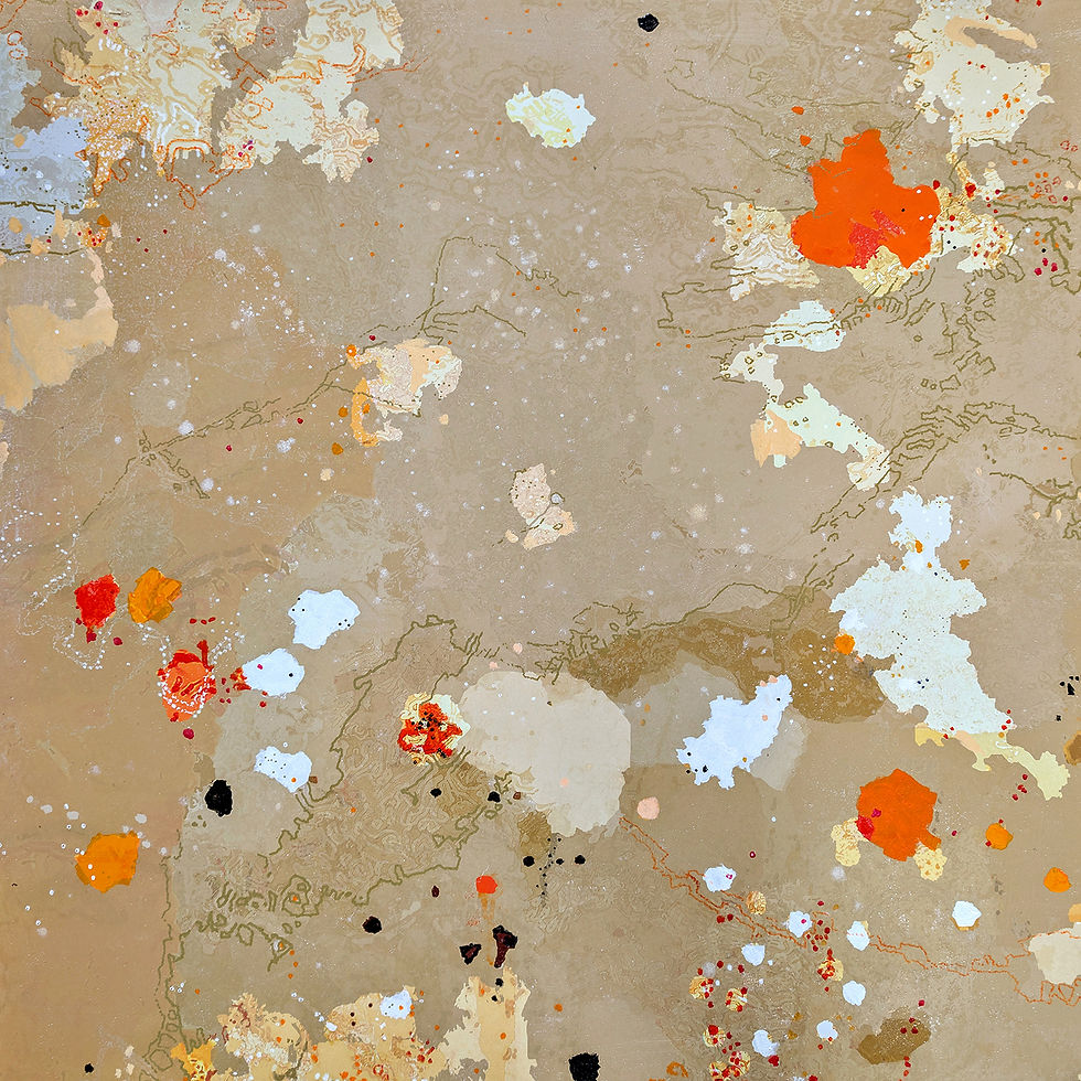 salt lakes in Wimmera landscape
