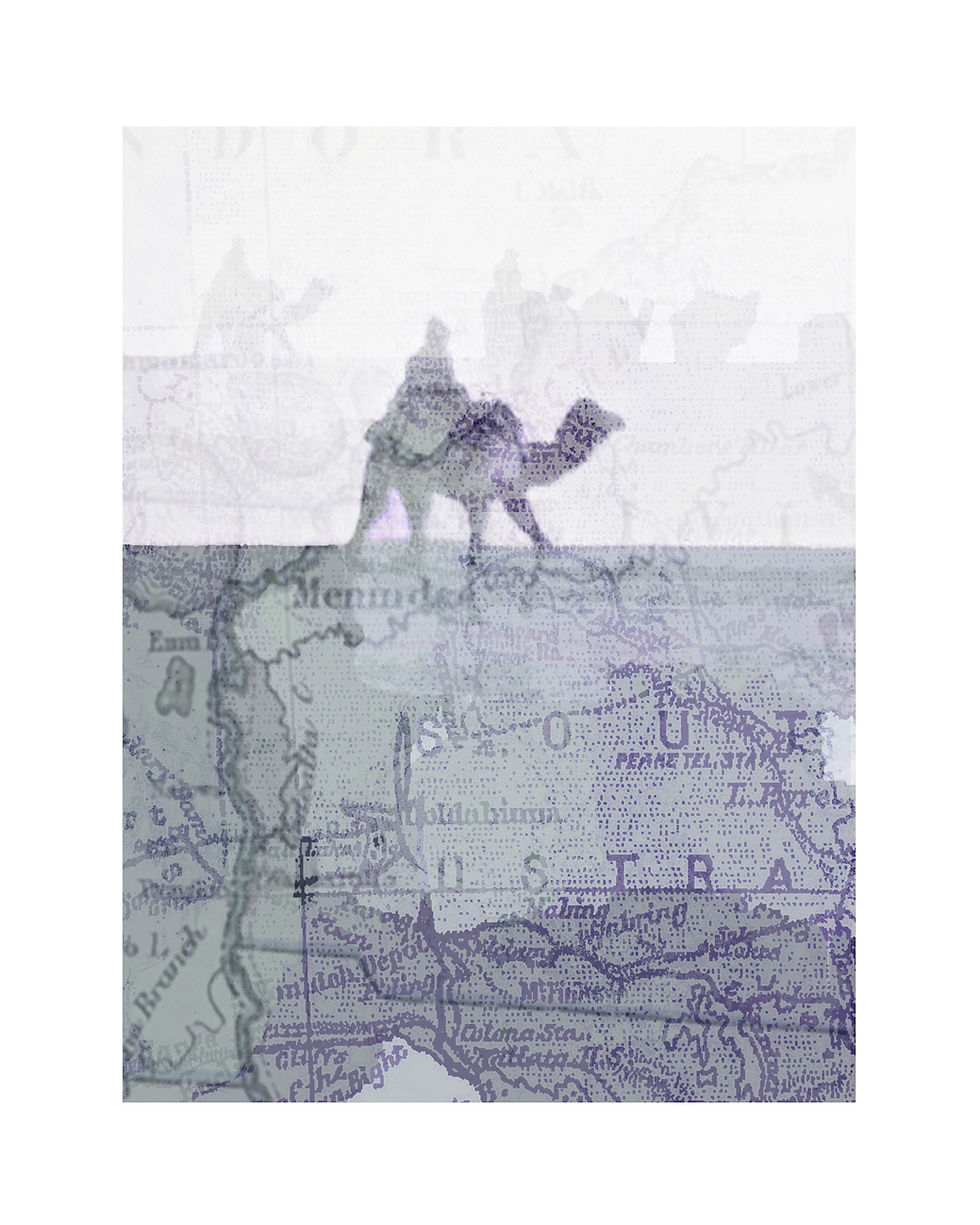 Camel train at Mt Doubeny 35x50cms