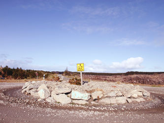 Road to Cape Reinga