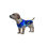 Thumbnail: Melinda's dreamy blue Sparkles Little Dog's Tank Top