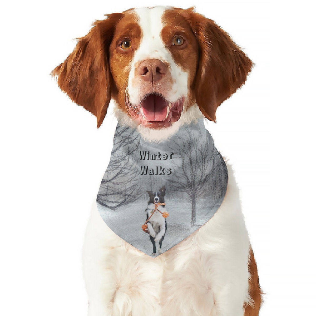 A dog on Winter Walk Pet's Scarf