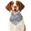 Thumbnail: Winter Walk Pet's Scarf Design 2
