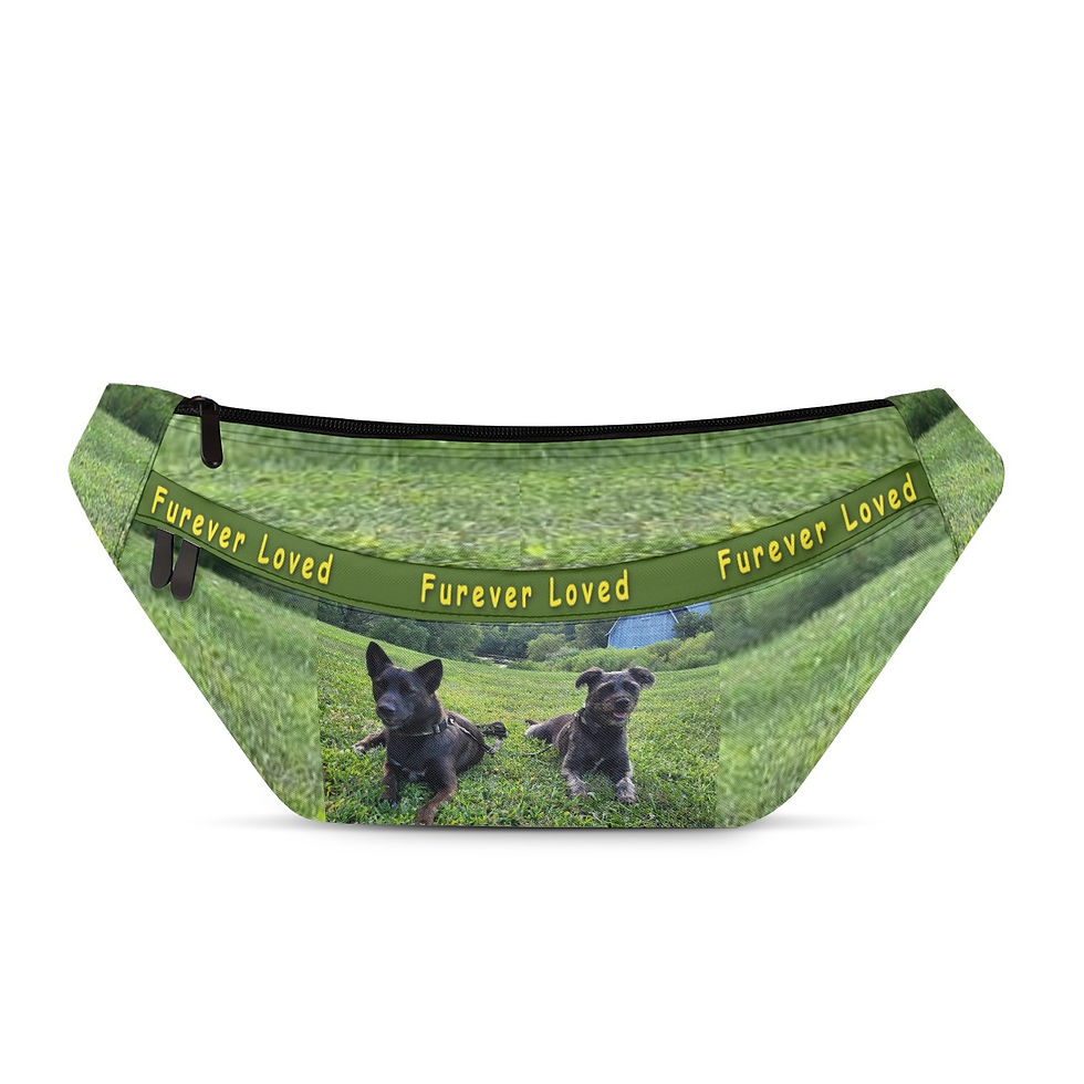 Furever Loved Large Fanny Bag