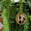 Thumbnail: Charity's Panda Christmas Decoration One