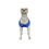 Thumbnail: Melinda's Dreamy Blue Sparkles Big Dog's Tank Top