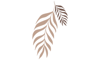 MLECommunicationSite_WIX (2).png