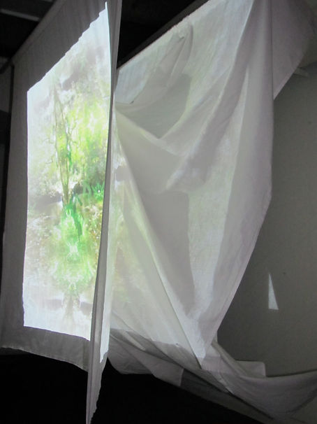 Lagoon_Installation3.jpg