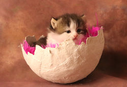 01 - 03.04.19 Matou YONSA 01