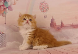 20.04.19 POUCHKINE 23