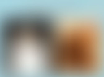 Les Bébés d'Irina sont nés le 9 juin 2018 !!!!