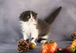 27.09.19 NOIRE BLANC 08