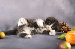 27.09.19 NOIRE BLANC 03