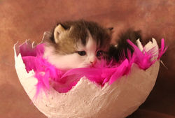 01 - 03.04.19 Matou YONSA 03