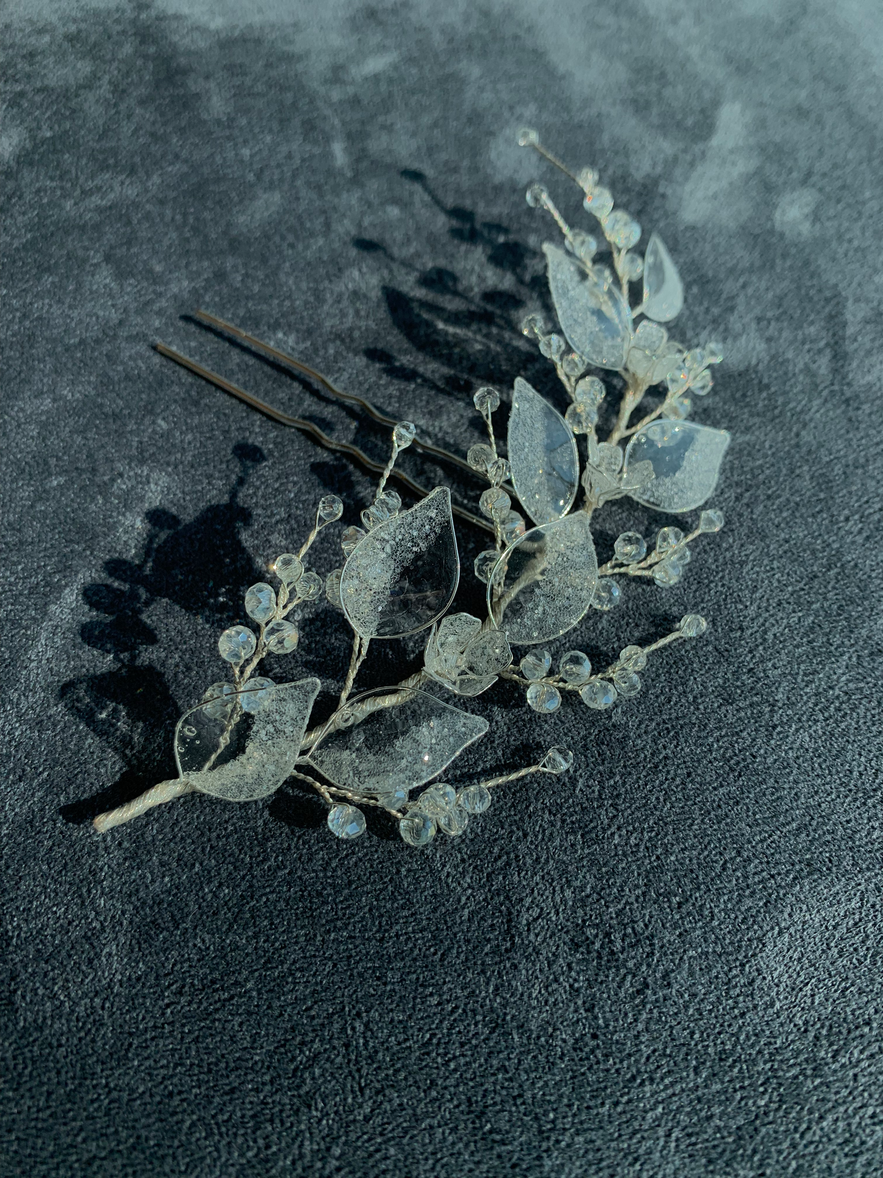 Forcina “Paulonia”