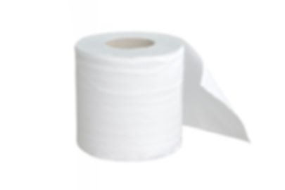 Toilet paper roll - each
