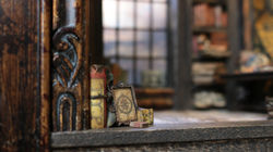The Study detail 3