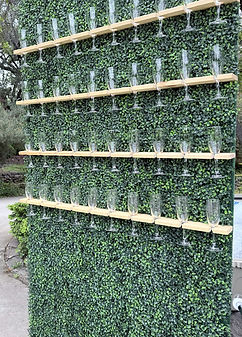 Champagne Wall Rentals