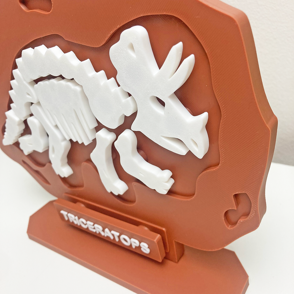Thumbnail: Triceratops Bone Fossil Puzzle Model – Hands-On Dinosaur Discovery