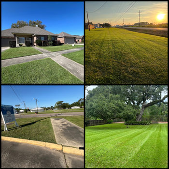 Residential and commercial lawn care 