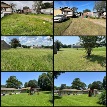 Mowing, Edging, Weedeating,Blowing, Mulching, Bagging, Grass Cut