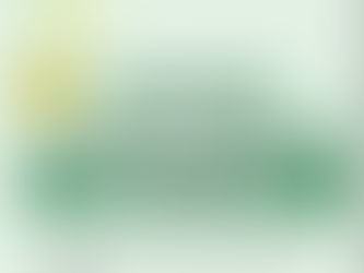 Focus sur le développement durable