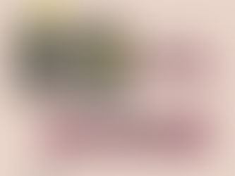 Focus sur le projet de Pumptrack