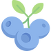 blueberry icon 1.png