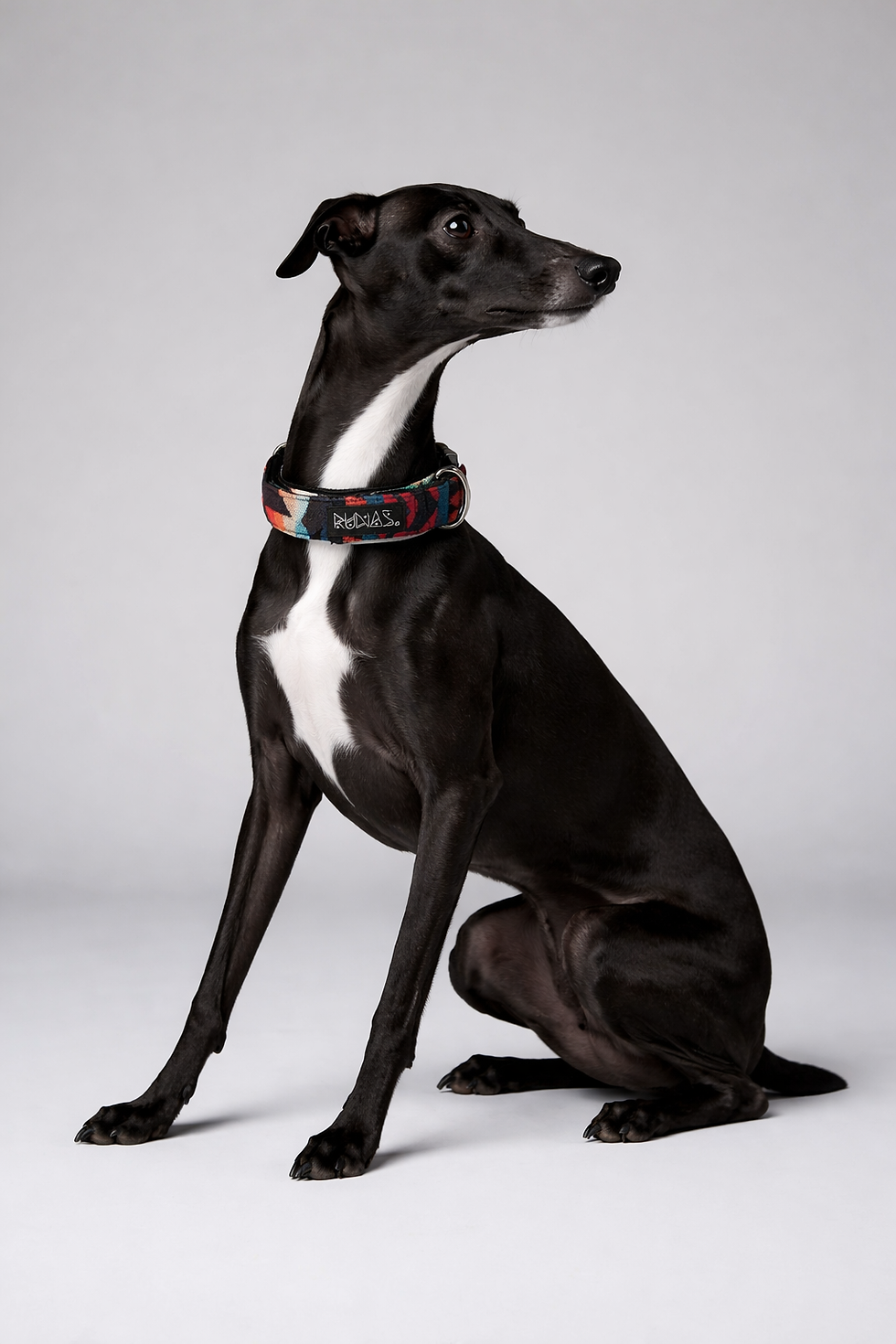 Miniatura: Collar de perro folk 031