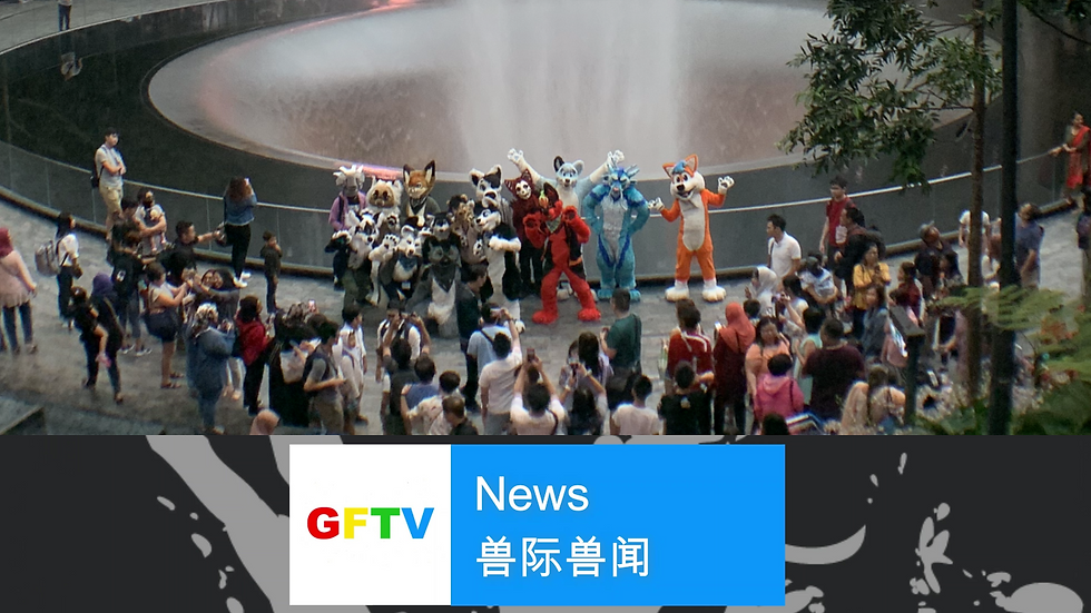 《兽际兽闻》28/10/2019