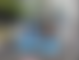 Bouncy Castle by Funfair