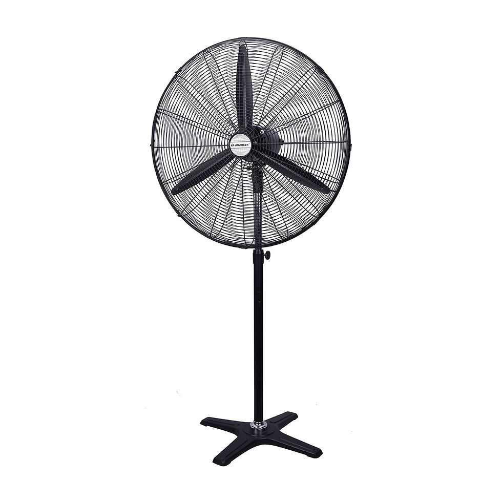 Stand Fan