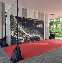 photobooth background staging.jpg