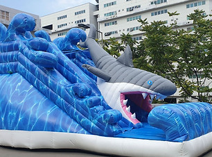 Shark slide bouncy castle.jpeg