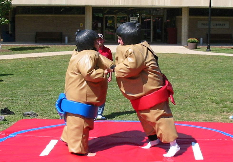 Inflatable Sumo Game