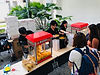 live food station.jpeg