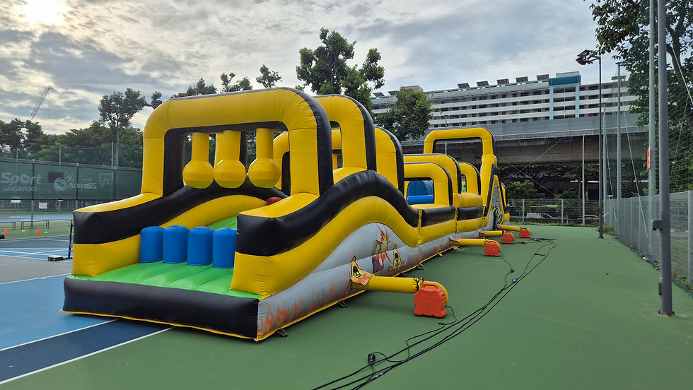 Large Inflatable Obstacle Course
