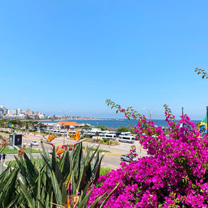 Punta Del Este - Uruguai