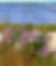 flowers Final.jpg