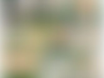 Four Reasons to Love Daffodils