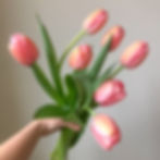 Pink tulips grown by Happy Little Things GMD