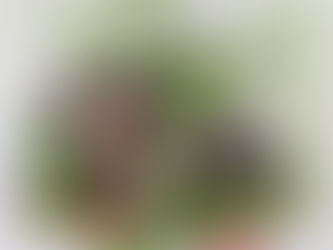 Spring arrangement with woody foliage